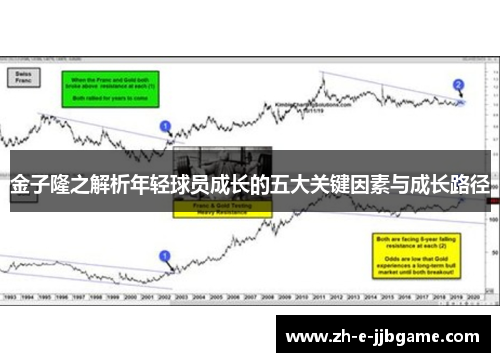 金子隆之解析年轻球员成长的五大关键因素与成长路径